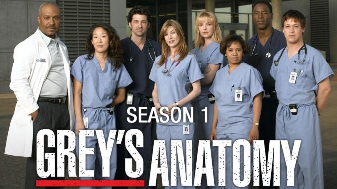 Grey's Anatomy/グレイズ・アナトミー 恋の解剖学シーズン1の主題歌・挿入曲まとめ
