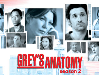 Grey’s Anatomy/グレイズ・アナトミー 恋の解剖学シーズン2の主題歌・挿入曲まとめ