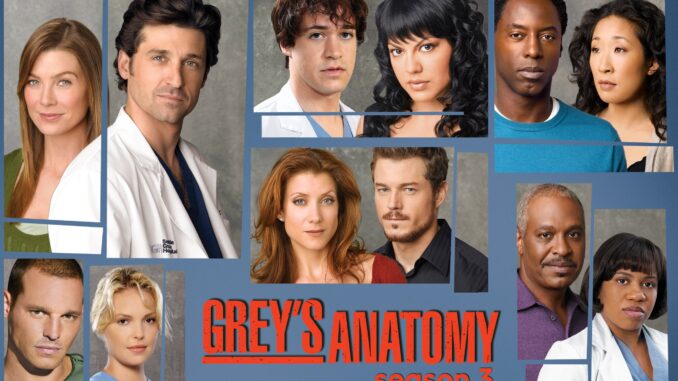 Grey’s Anatomy/グレイズ・アナトミー 恋の解剖学シーズン3の主題歌・挿入曲まとめ