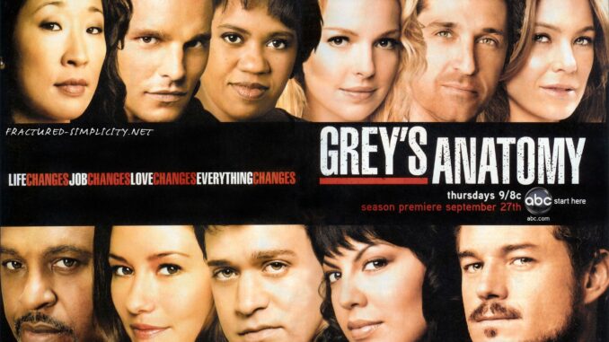 Grey’s Anatomy/グレイズ・アナトミー 恋の解剖学シーズン4の主題歌・挿入曲まとめ