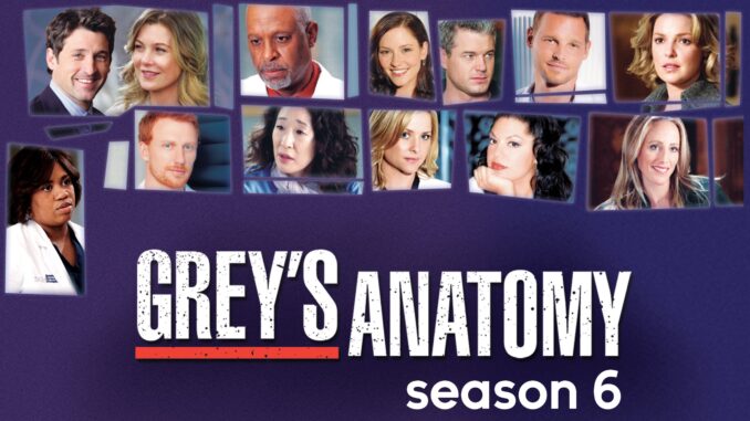 Grey’s Anatomy/グレイズ・アナトミー 恋の解剖学シーズン6の主題歌・挿入曲まとめ
