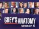 Grey’s Anatomy/グレイズ・アナトミー 恋の解剖学シーズン6の主題歌・挿入曲まとめ