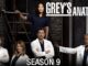 Grey’s Anatomy/グレイズ・アナトミー 恋の解剖学シーズン9の主題歌・挿入曲まとめ