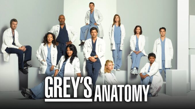 Grey’s Anatomy/グレイズ・アナトミー 恋の解剖学シーズン5の主題歌・挿入曲まとめ